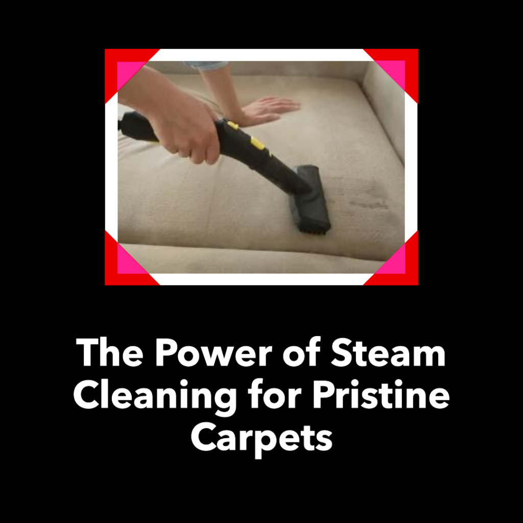 Steam Cleaning