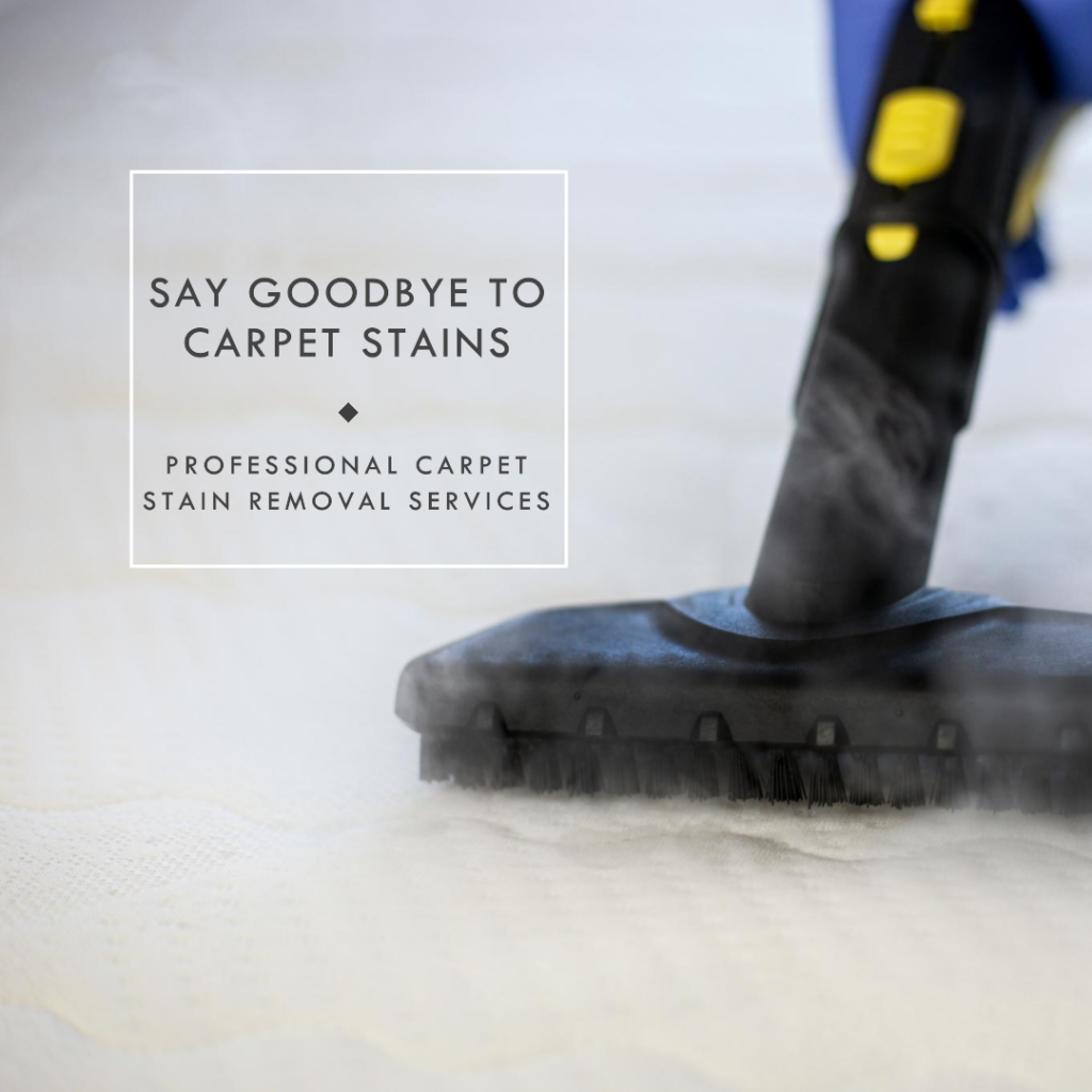 Carpet Stain Removal Services