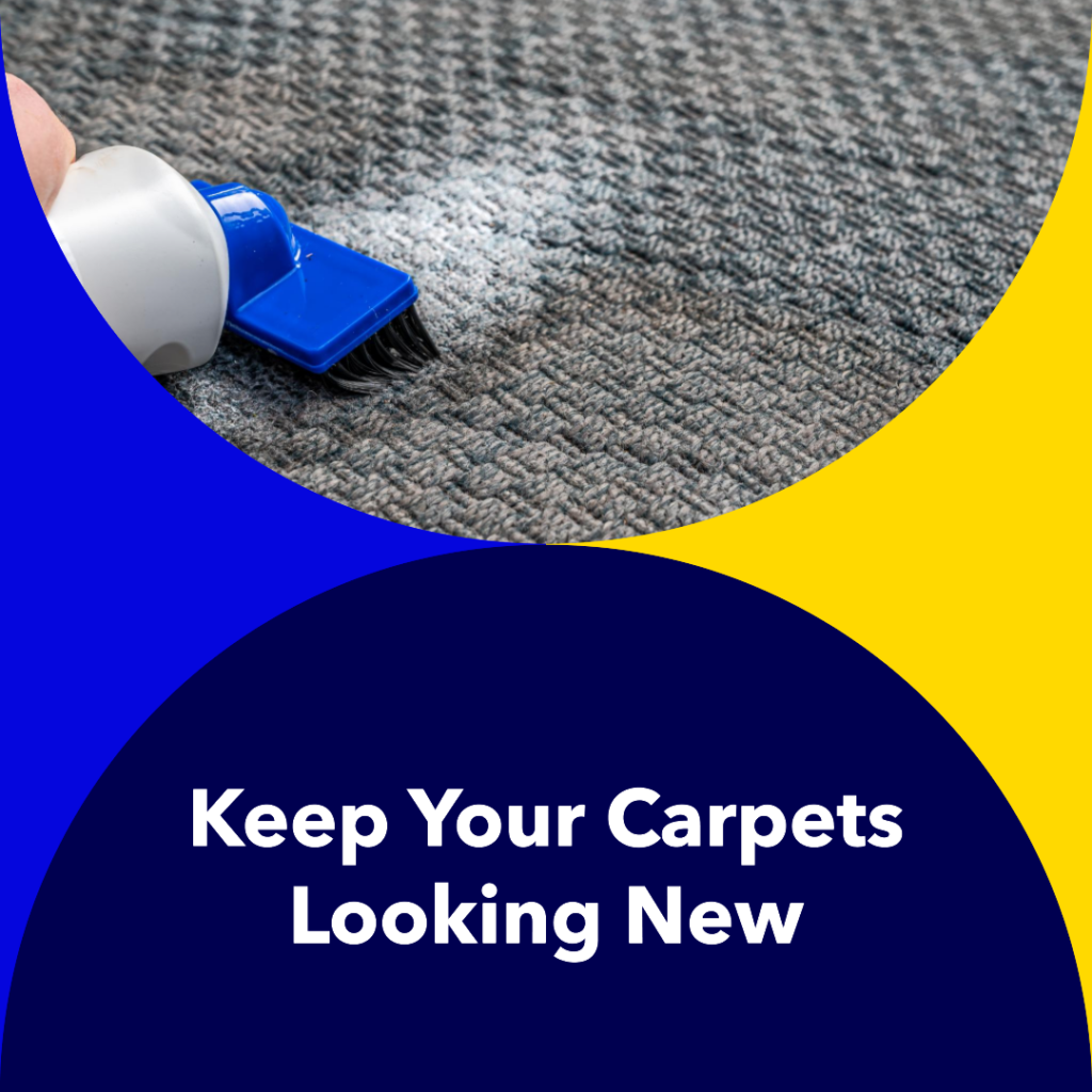 Carpet Maintenance