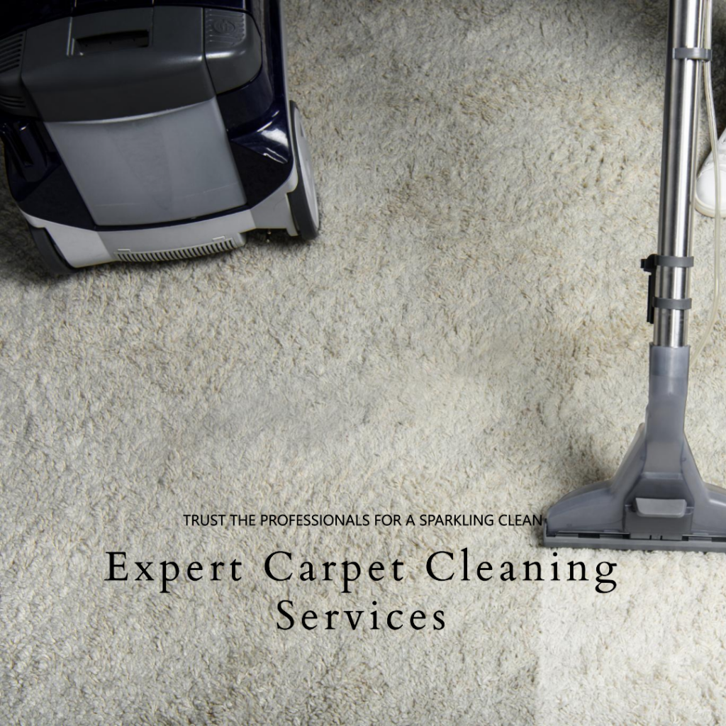 Carpet Cleaners